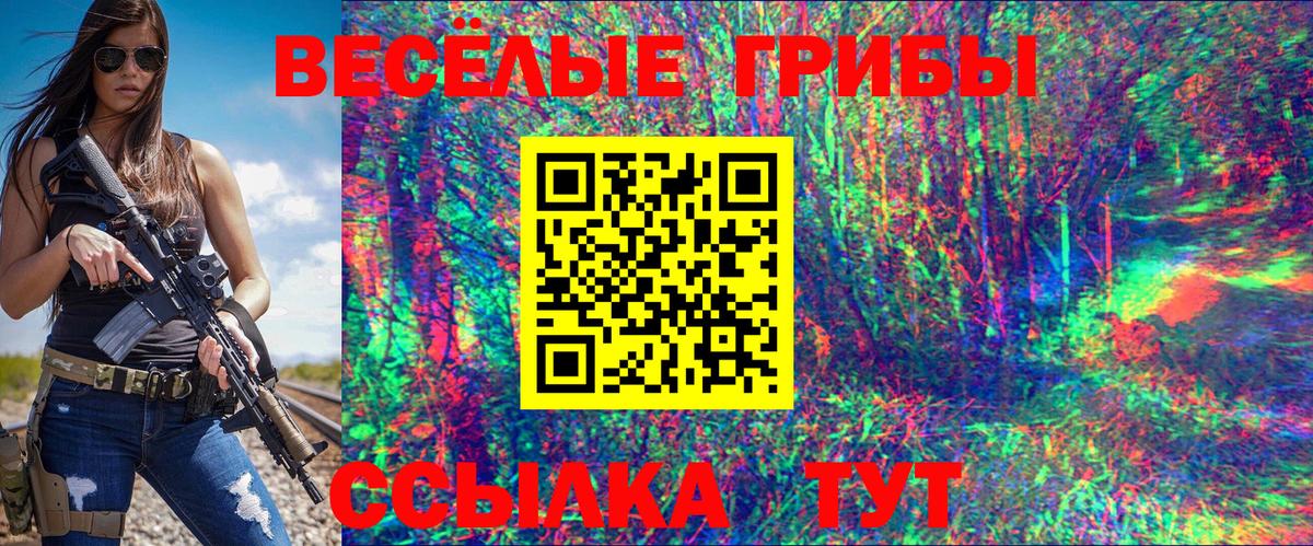 Псилоцибиновые грибы прущие грибы  Вход с VPN  Алексин  Галлюциногенные грибы прущие грибы 