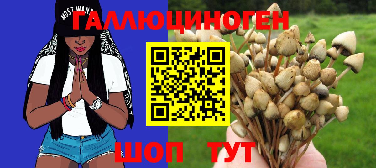 Псилоцибиновые грибы мухоморы Алексин